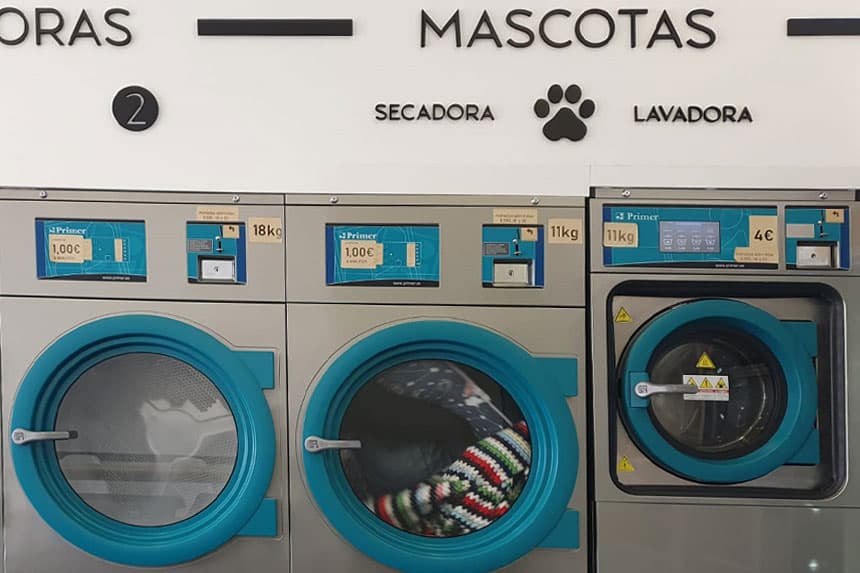 Lavandería autoservicio para mascotas en Neda